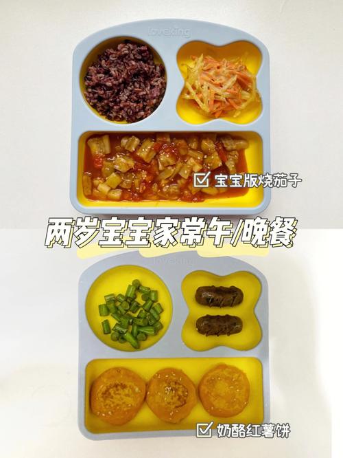 国内助孕妇与宝宝宝两岁吃什么饭菜